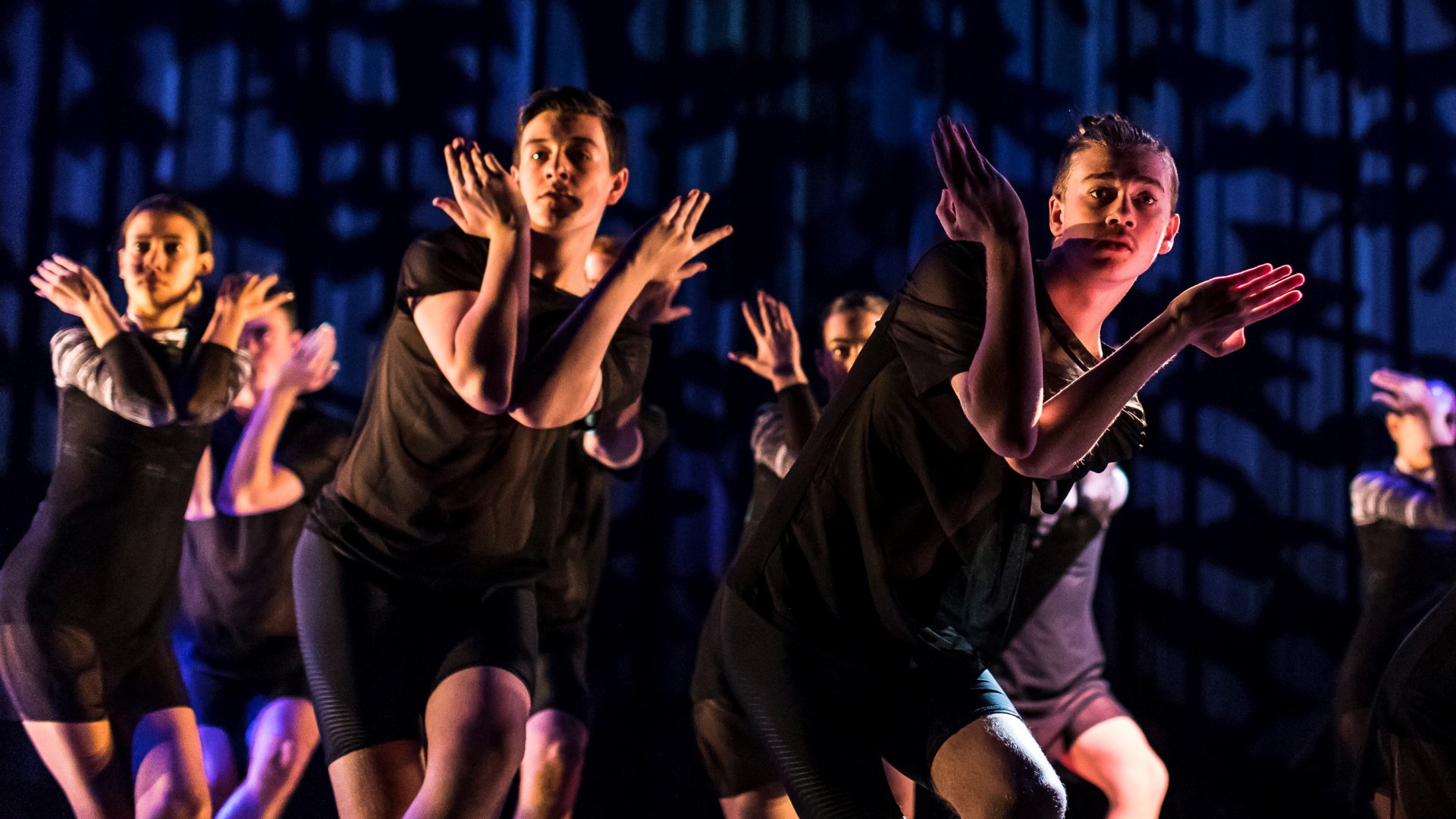 Excerpt of Unaipon, performed by the Aboriginal Dance Company at the State Dance Festival, 2019