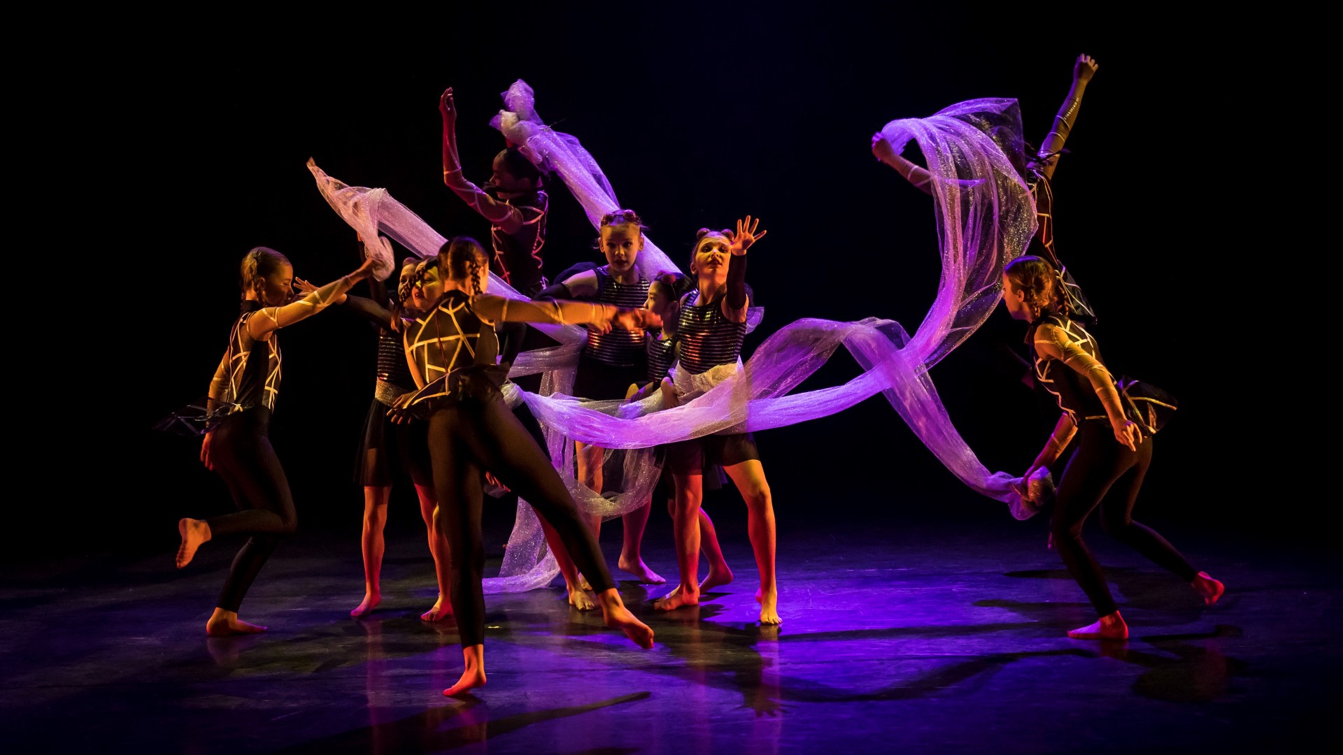 A scene from the performance of The Web, as part of the State Dance Festival 2019