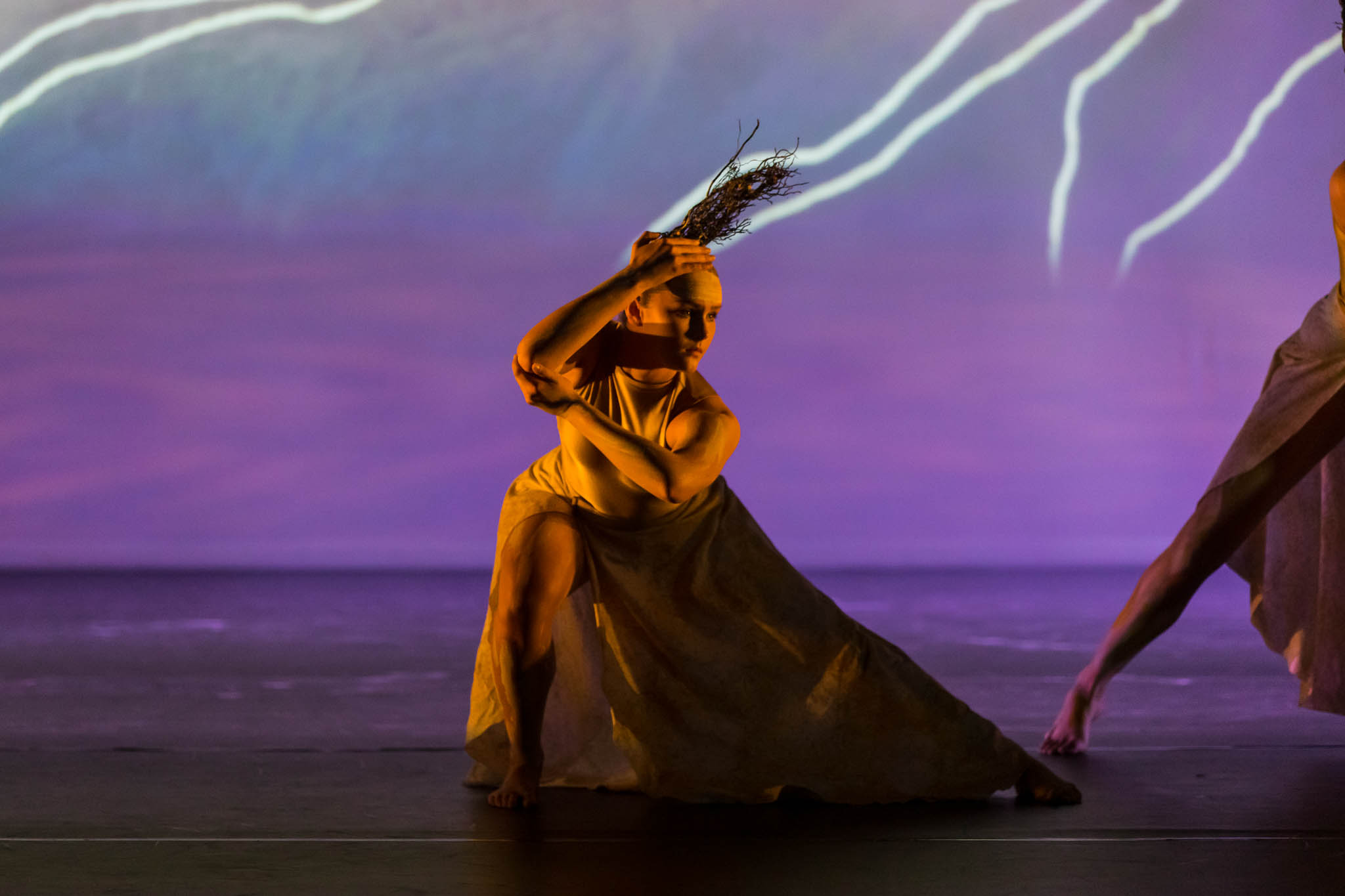 Aboriginal Dance Company  - Spinifex