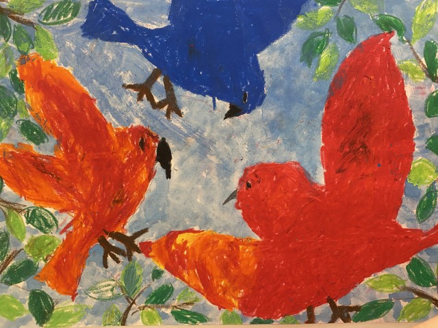 2 red and 1 blue bird  flying into each other surrounded by green tree branches