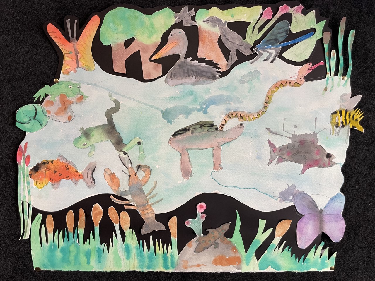 A watercolour depicting a river and the Australian animals that live around it including a frog, pelican, bee, fish, butterfly, prawn birds, grasshopper, snake, turtle.