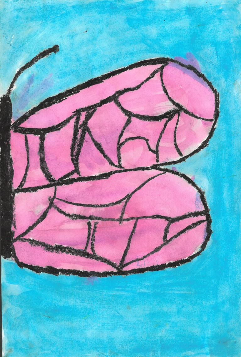 artwork of half a bright pink butterfly with black line work on a blue background.