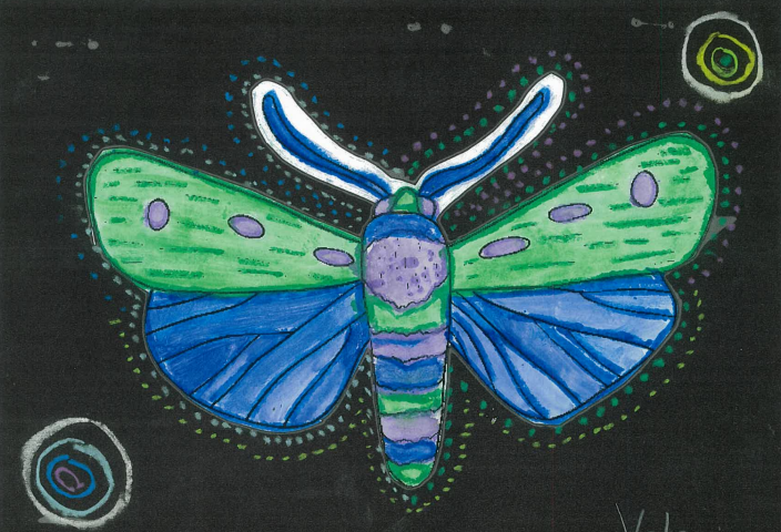 Drawing of a green and blue bogong moth on a black background
