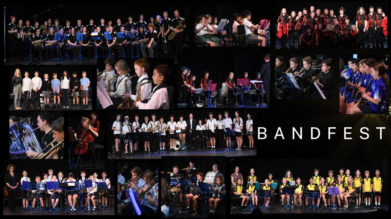 Bandfest 2022 collage