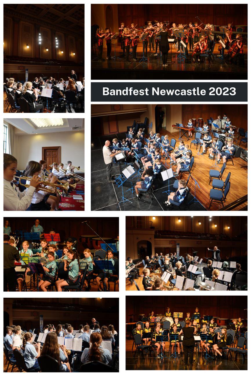 Bandfest 2023 photo collage
